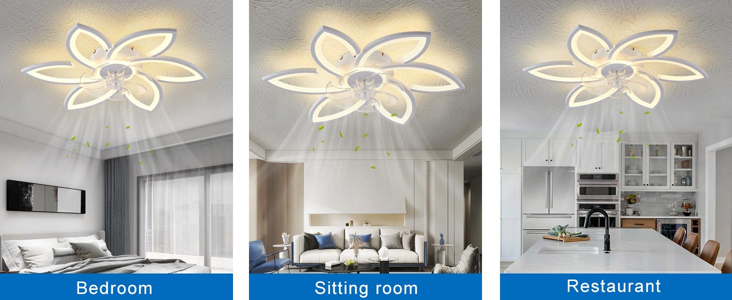 Modern LED Ceiling Fan with Light