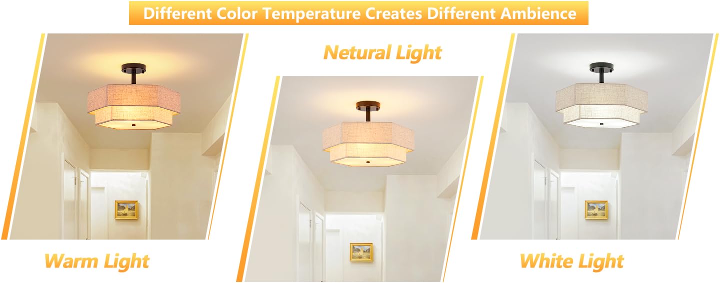 living room ceiling light