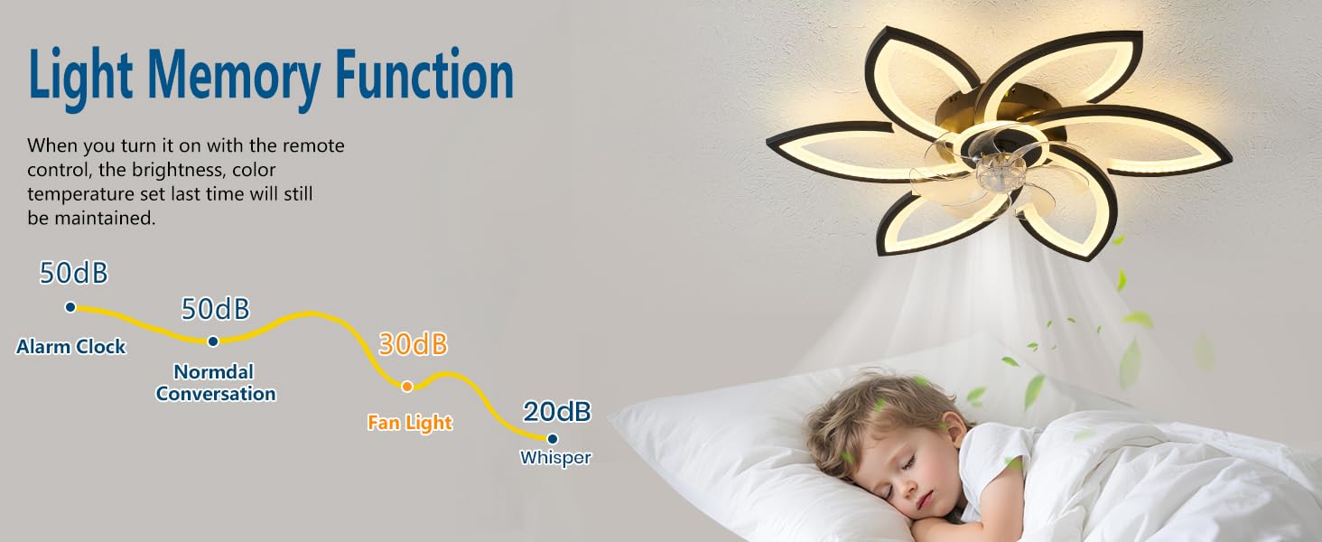 Modern LED Ceiling Fan with Light