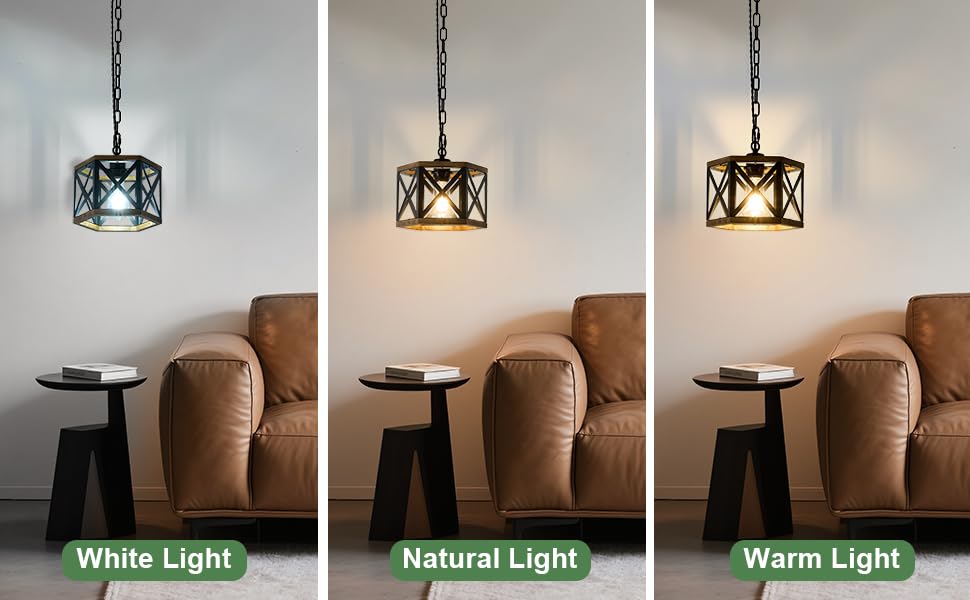 2 Pack Rustic Farmhouse Plug in Pendant Light Fixture