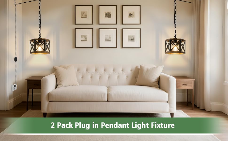 2 Pack Rustic Farmhouse Plug in Pendant Light